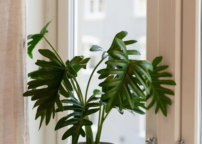 Renovated 3 In Historical Sandviken Bergen