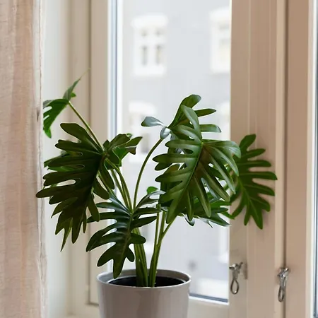 Renovated 3 In Historical Sandviken Bergen